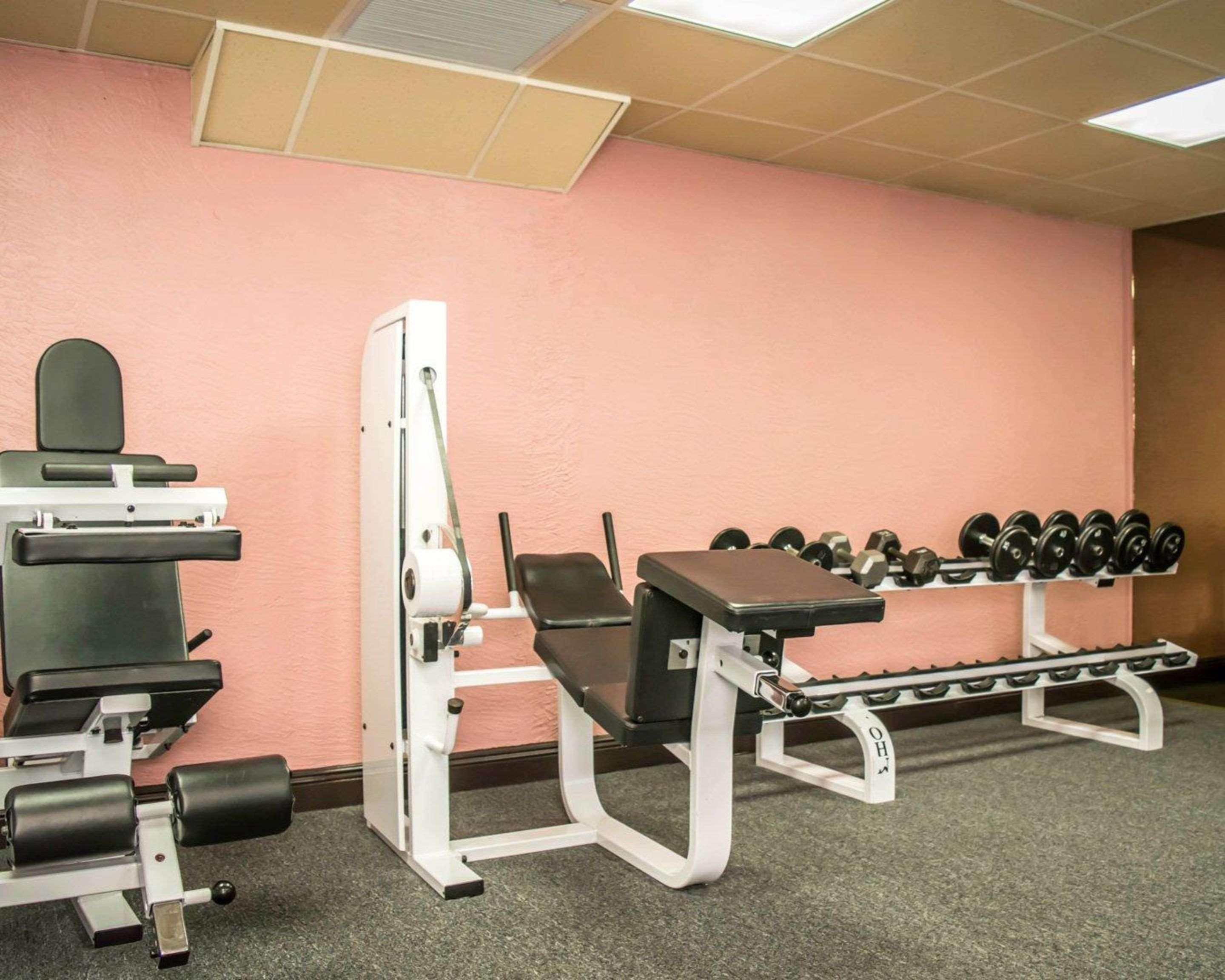 Clarion Pointe Tampa-Brandon Near Fairgrounds And Casino Hotel Mango Luaran gambar